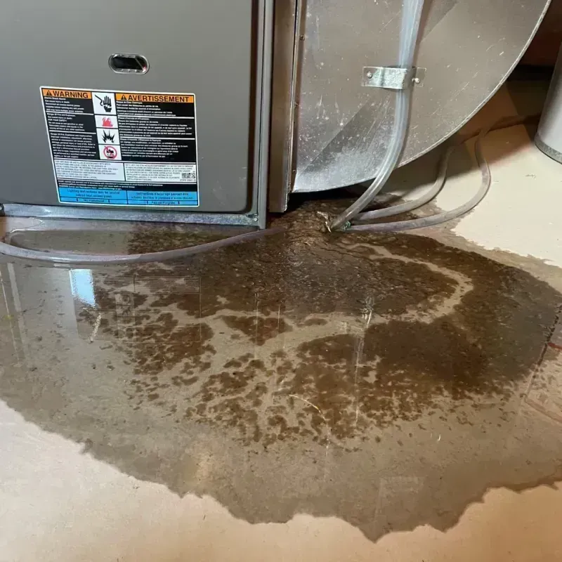 Appliance Leak Cleanup in Keytesville, MO